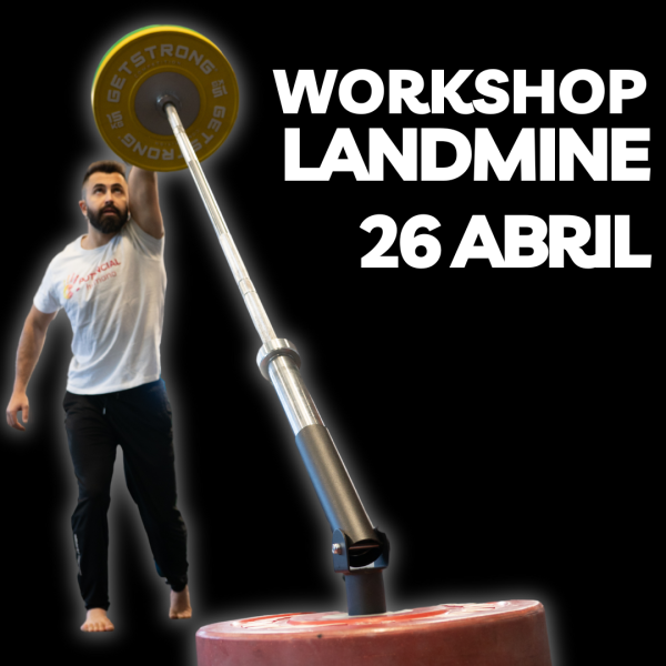 Workshop LANDMINE