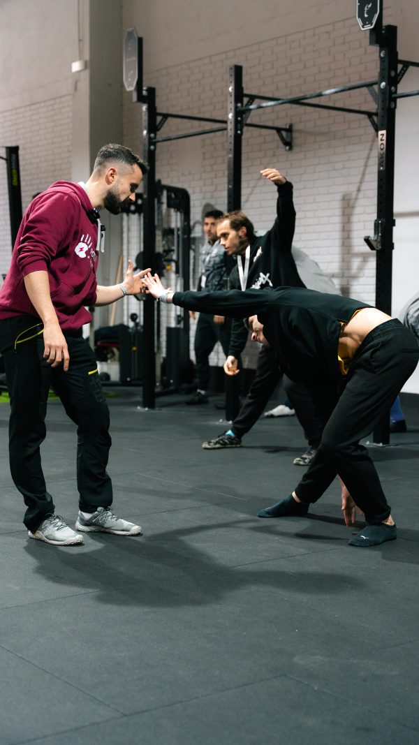 Full Move - Sistema de entrenamiento de la Movilidad - Imagen 4