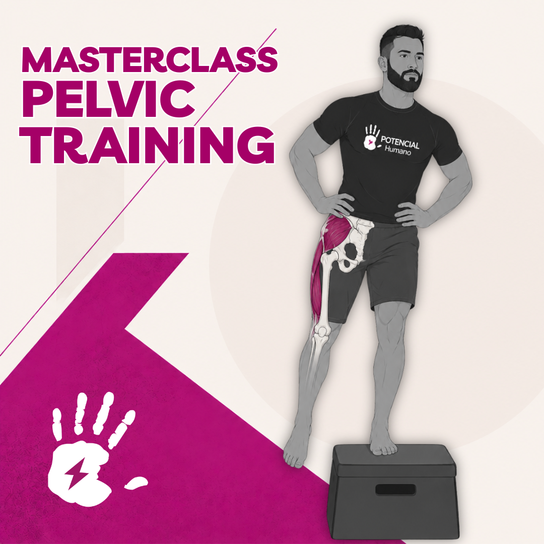 Pelvic Training